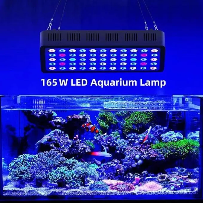 Solas aquarium speictrim iomlán