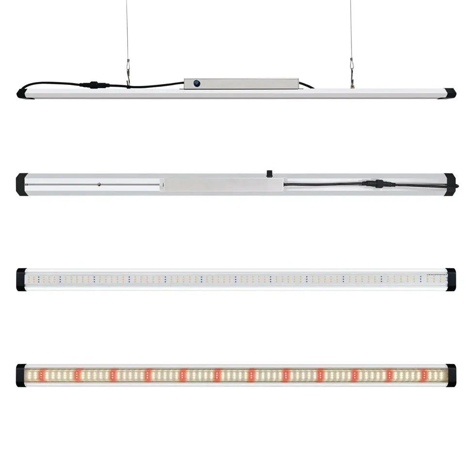 Plandaí ag fás barra solais